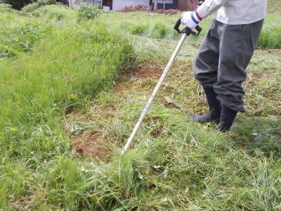 裾野市の草刈り・外周清掃について